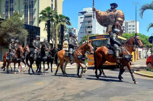 Polícia Militar abre inscrições para adoção de cavalos aposentados