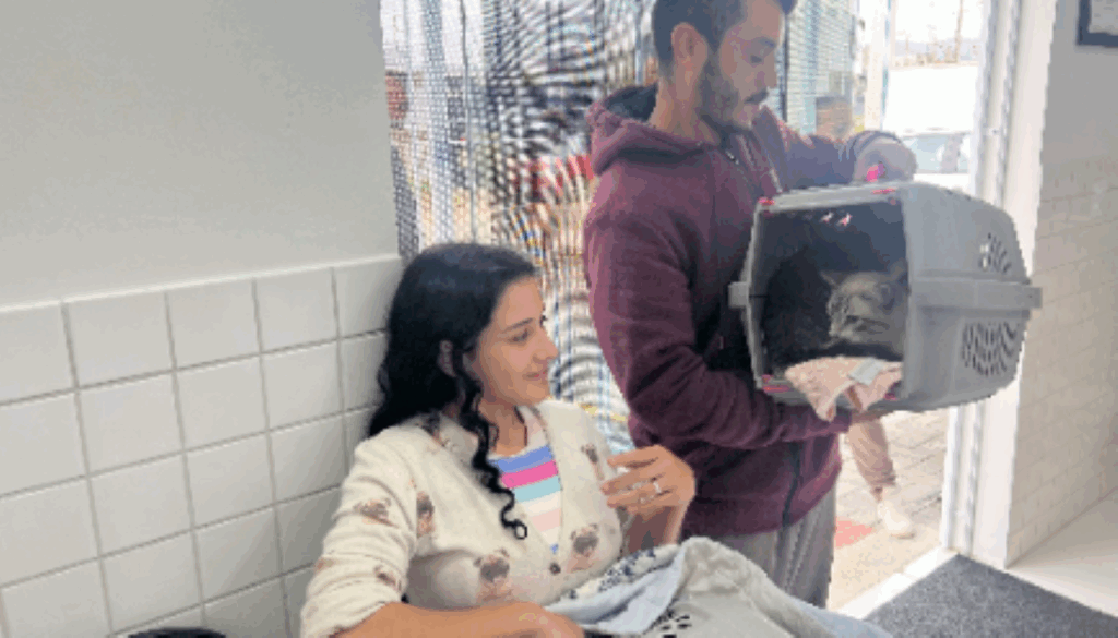 Porto Belo inaugura Centro de Bem-Estar Animal após acordos judiciais