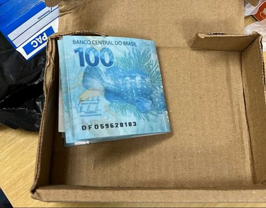 SC retira 4,8 mil notas falsas de circulação em 2025; veja como identificar