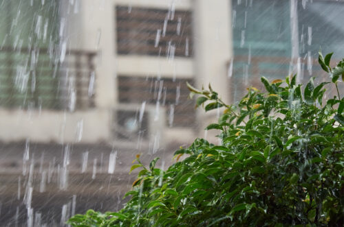 Chuva intensa e risco de temporais marcam o fim de semana em SC
