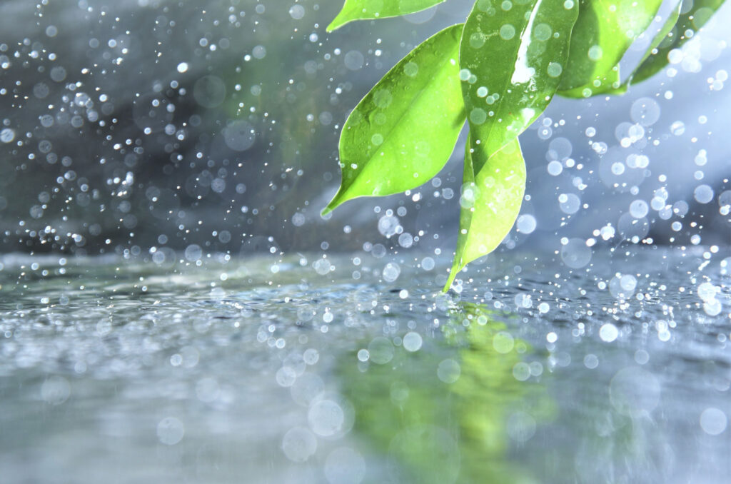 Chuva retorna a Santa Catarina com risco de temporais no fim de semana