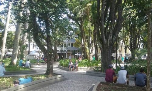 Cão é vítima de violência sexual no Centro de Criciúma e recebe abrigo em ONG