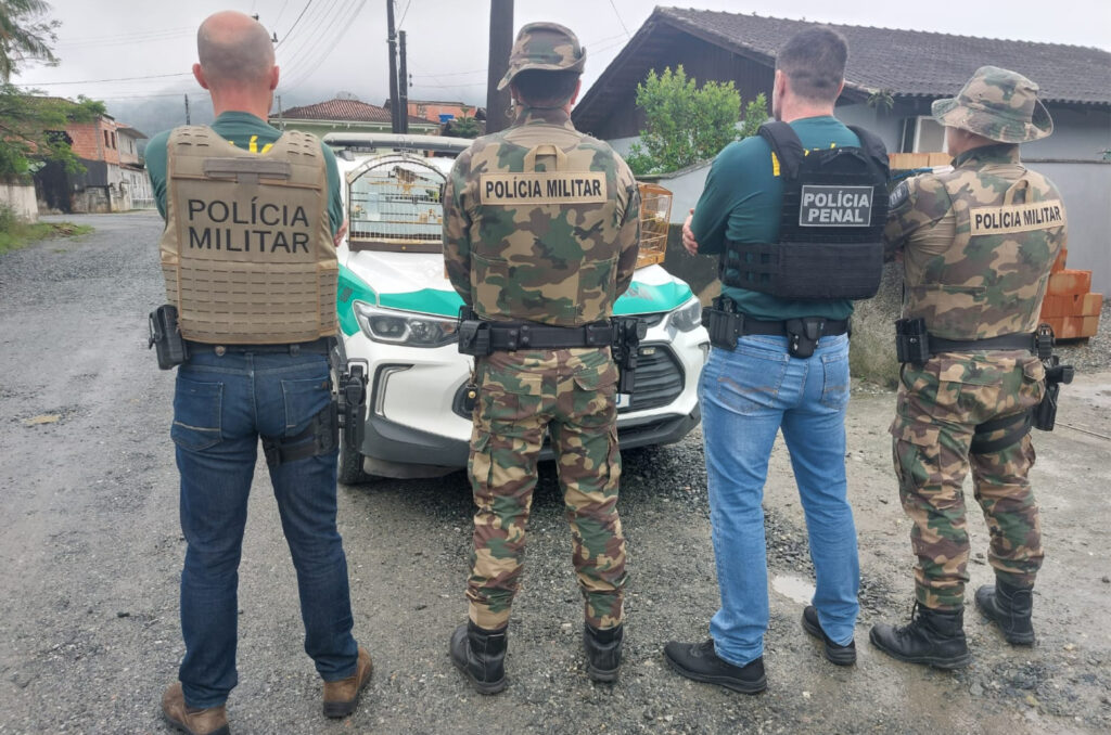 GAECO e Polícia Militar Ambiental apreendem 214 animais em operação nacional contra crimes ambientais