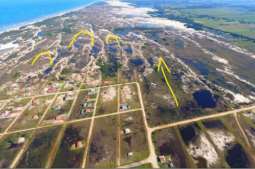 PF investiga fraudes em licenças ambientais na área de preservação da baleia-franca em SC