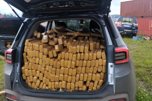 PRF apreende 500 kg de maconha e recupera carro roubado em Itajaí