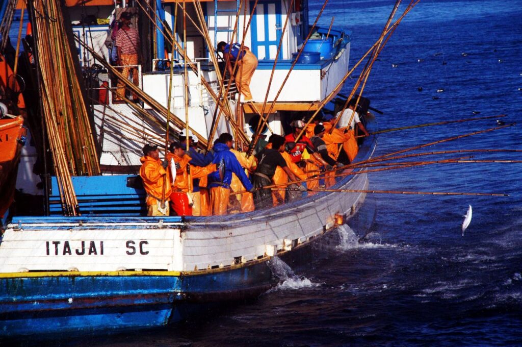 SC vai doar 2,5 mil localizadores com GPS para pescadores