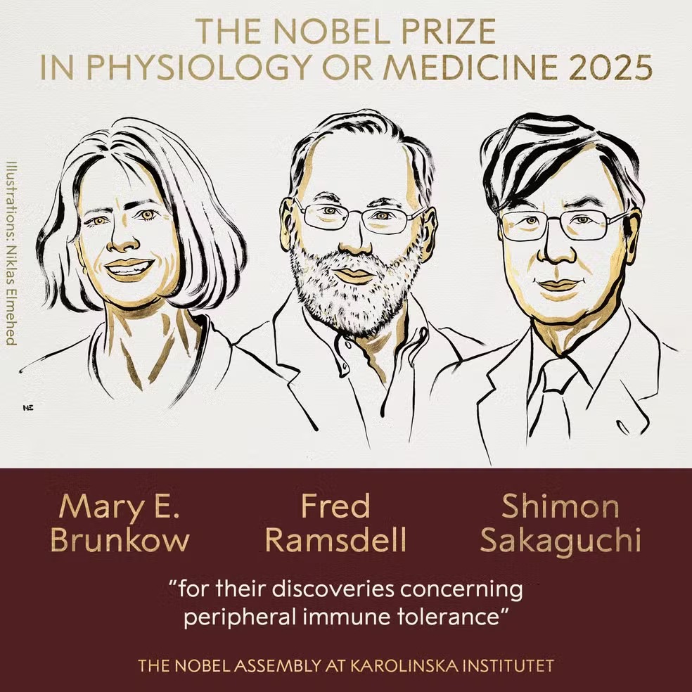 Três cientistas vencem Nobel de Medicina de 2025 por descobertas sobre o sistema imunológico