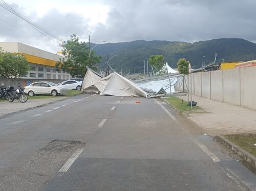Ventos fortes causam quedas de árvores e destelhamentos na Grande Florianópolis