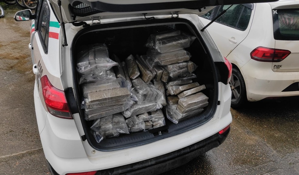 Diretora de departamento de Navegantes é presa com 135 kg de maconha em Joinville