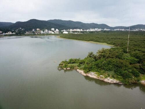Curso online na área de educação ambiental climática e comunicação é ofertado pelo MEC