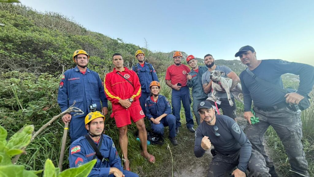 Cadela é resgatada com vida após cair em fenda no Morro das Aranhas, em Florianópolis