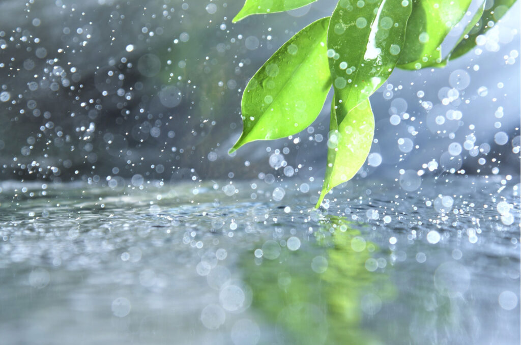 Chuva e temporais isolados marcam a quarta-feira em Santa Catarina