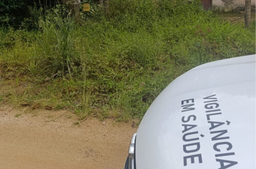 Cocal do Sul confirma casos de doença transmitida por gatos e amplia prevenção em toda a cidade