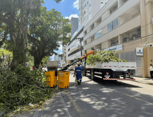 Avenida Rodovalho é bloqueada para poda e instalação da iluminação de Natal em Tubarão