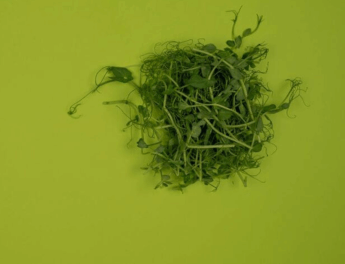 Agrião é eleito o alimento mais saudável do mundo por estudo dos EUA