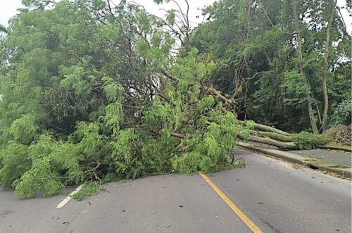 Santa Catarina registra estragos e ocorrências em diversas cidades após fortes temporais