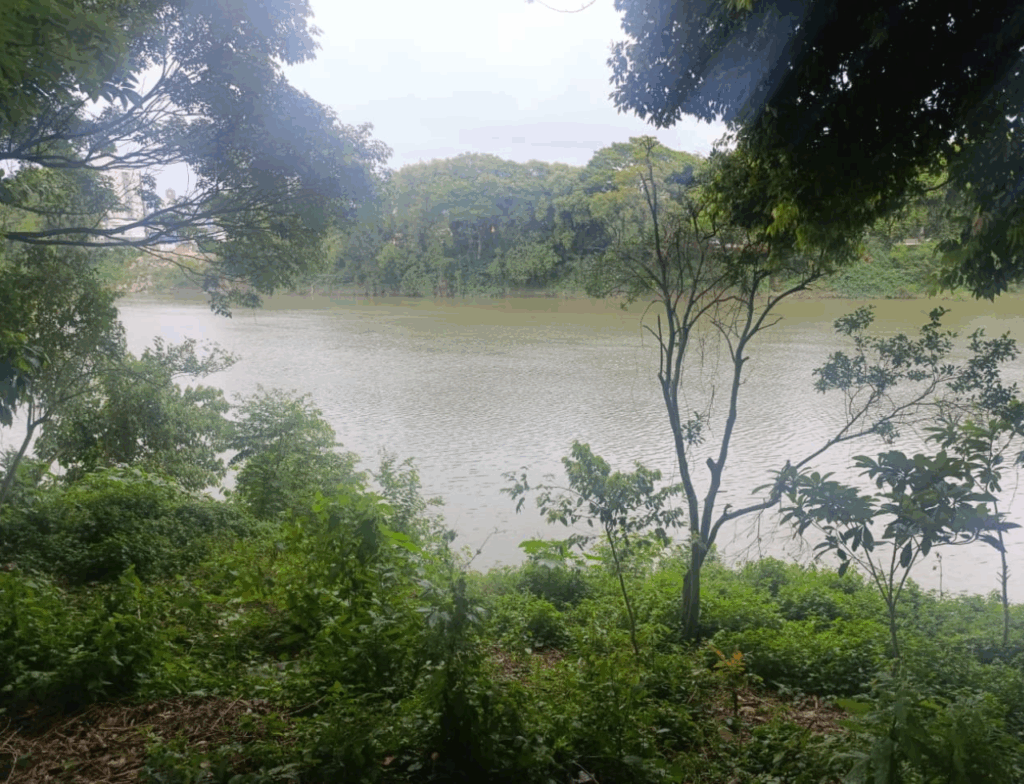 Corpo sem vida é encontrado na margem do Rio Tubarão