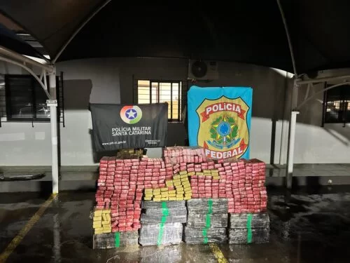 Jovem é preso com 495 kg de maconha após tentar fugir de fiscalização na BR-282