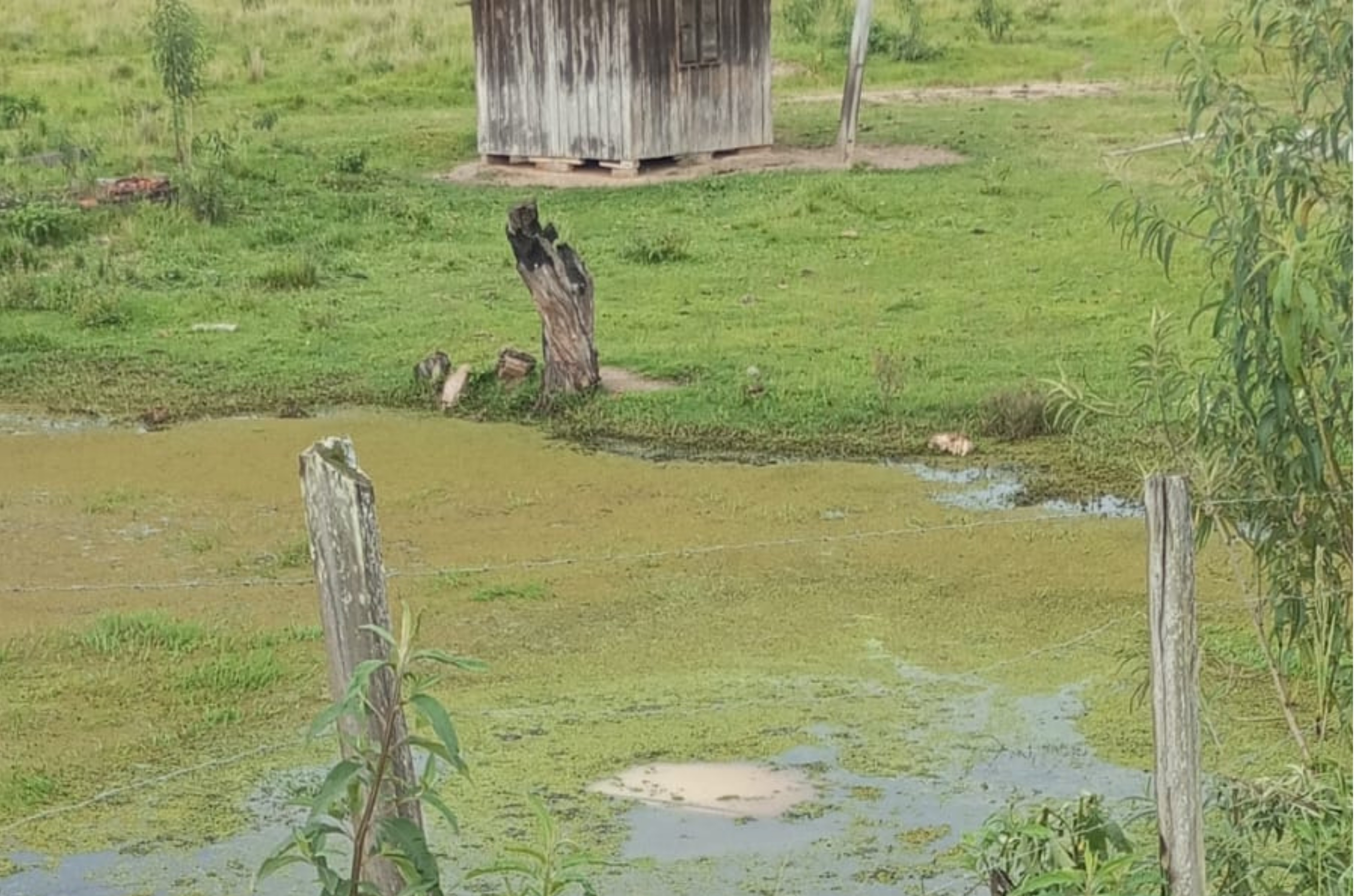 Mãe e filha são resgatadas após carro submergir em acidente na SC-370