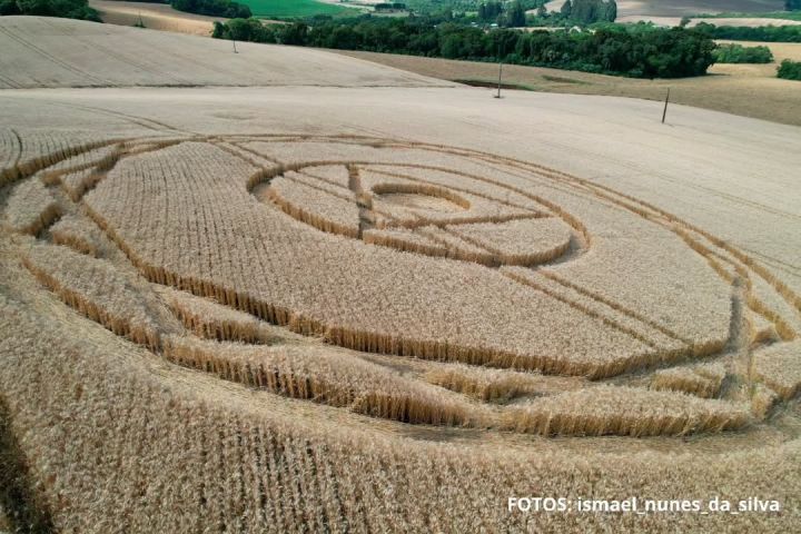 Novo agroglifo surge em Ipuaçu e volta a intrigar moradores do Oeste catarinense