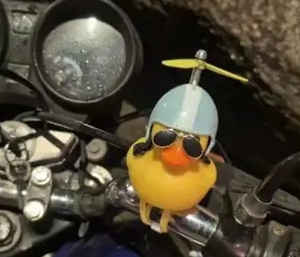 PM apreende drogas escondidas dentro de pato de borracha no Centro de Florianópolis