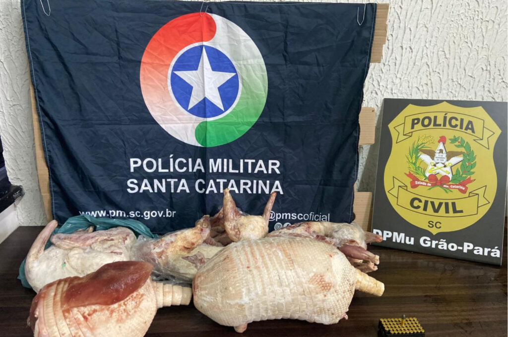 PM encontra munições e animais silvestres abatidos durante operação em Grão-Pará