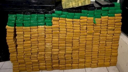 Polícia Militar apreende mais de 440 quilos de maconha em Joinville