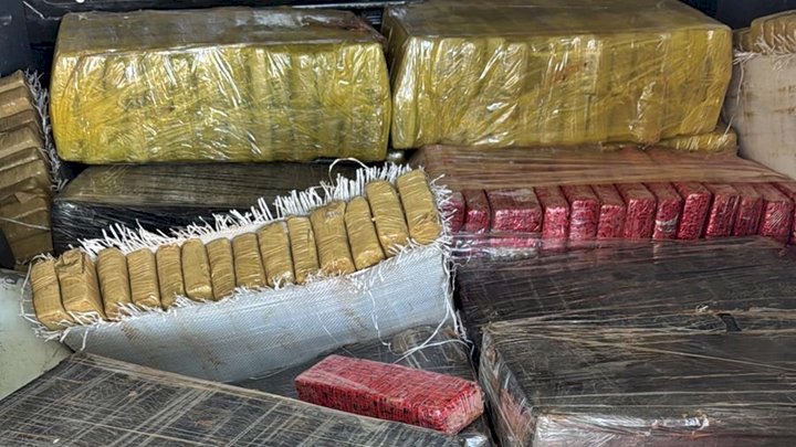 Polícia apreende 500 kg de maconha e prende suspeito em Palhoça