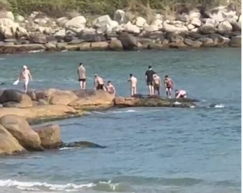 Policiais resgatam três homens arrastados pela correnteza na Praia do Rosa
