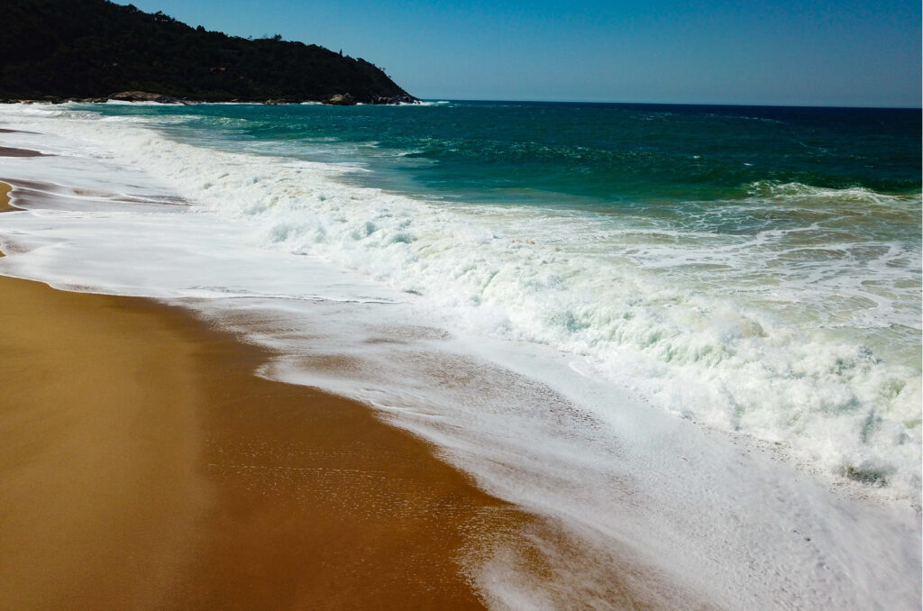 Relatório aponta quase 80% das praias de SC próprias para banho