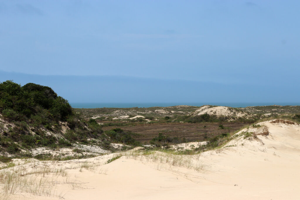STJ reconhece restinga como área de preservação permanente em todo o litoral