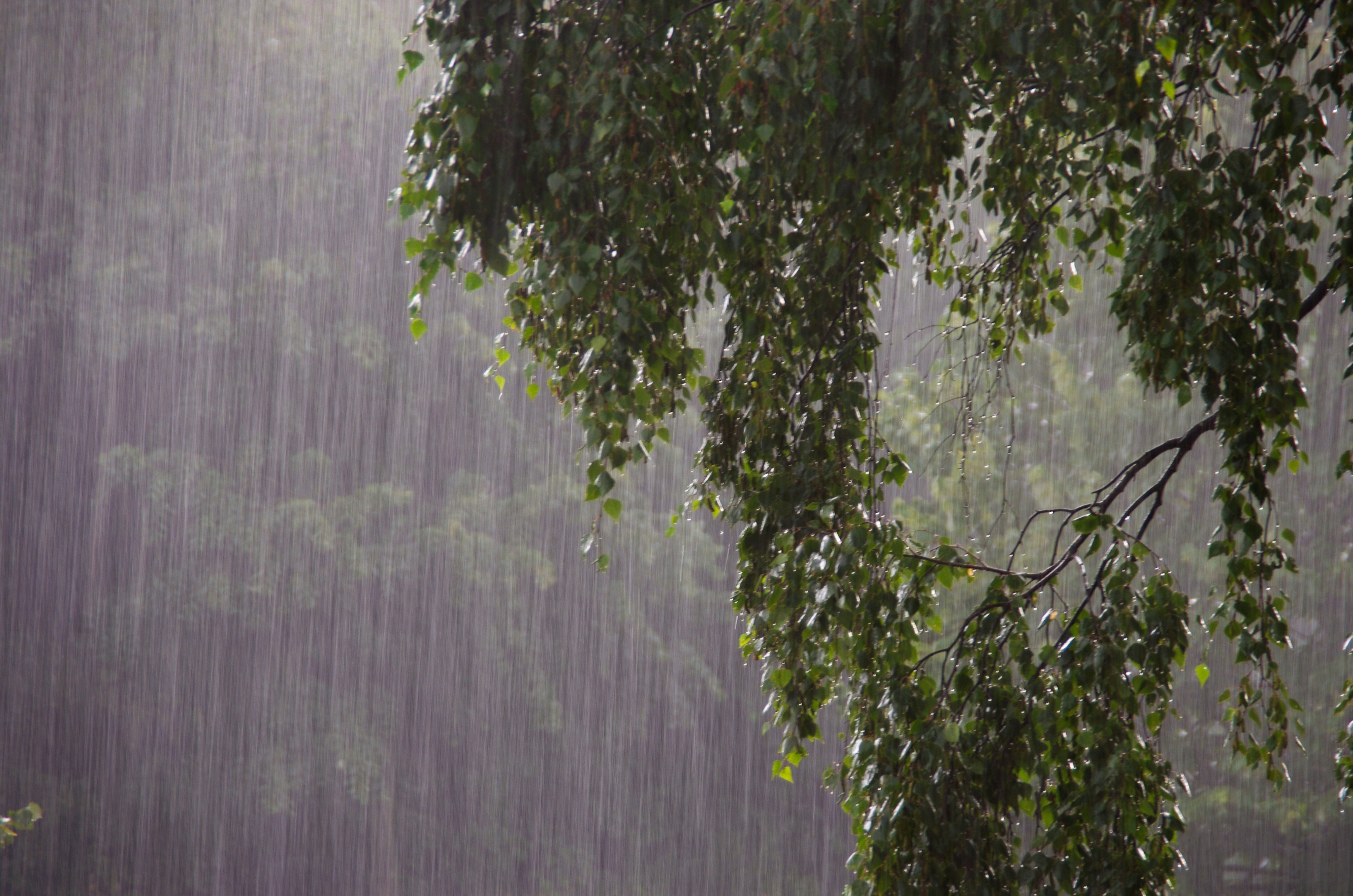 Temporais devem atingir Santa Catarina entre a tarde e noite desta sexta-feira