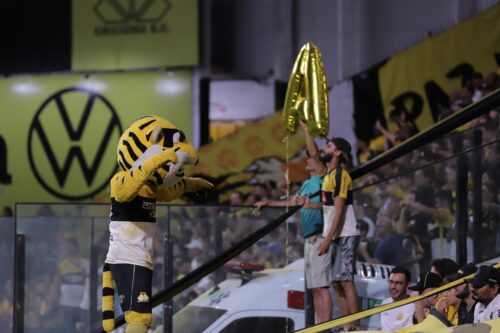 Torcida do Tigre prepara grande recepção antes de jogo decisivo no Majestoso