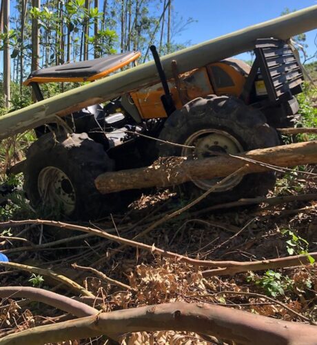 Trabalhador morre esmagado por árvore em Jaguaruna