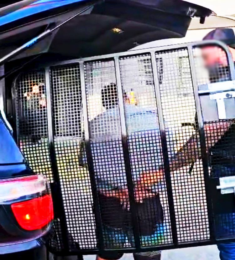 Suspeito de assalto armado em empresa de estacionamento é preso em Criciúma