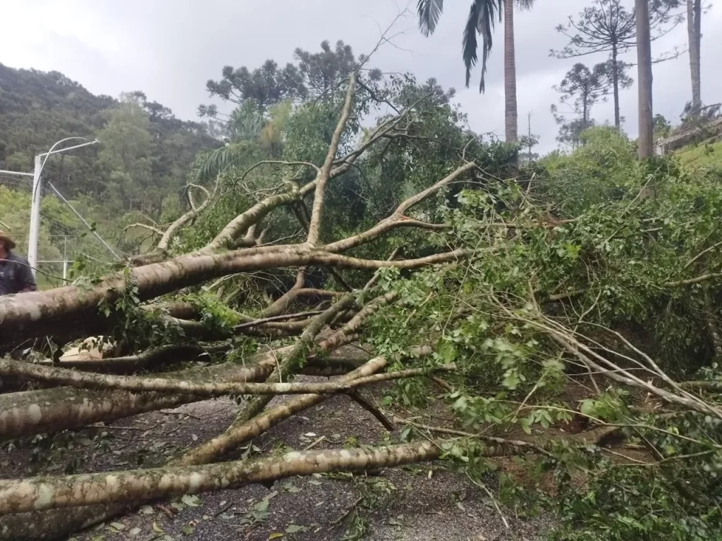 Microexplosão e temporais severos marcam o sábado em SC