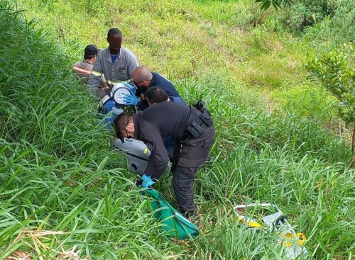 Picada de inseto provoca morte de trabalhador em Treviso