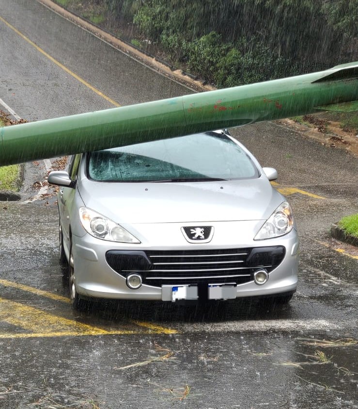 Temporal derruba árvores e placa sobre veículo, estradas e residências em Orleans