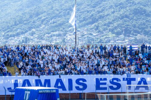 Conselho do Avaí aprova SAF 100% do clube e decisão vai aos sócios