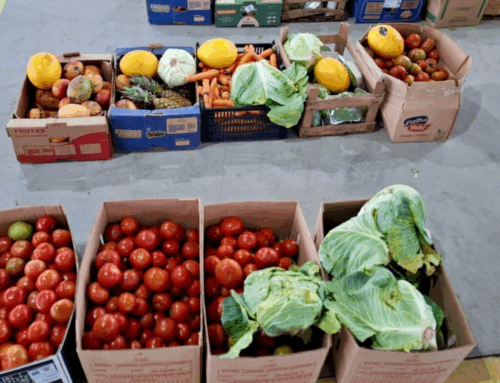 Banco de Alimentos doa quase 20 toneladas de alimentos em Tubarão em 2025