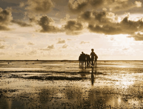 OMM prevê La Niña fraca com efeitos no clima global nos próximos meses