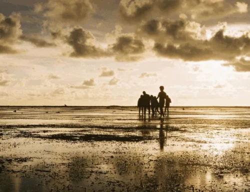 OMM prevê La Niña fraca com efeitos no clima global nos próximos meses