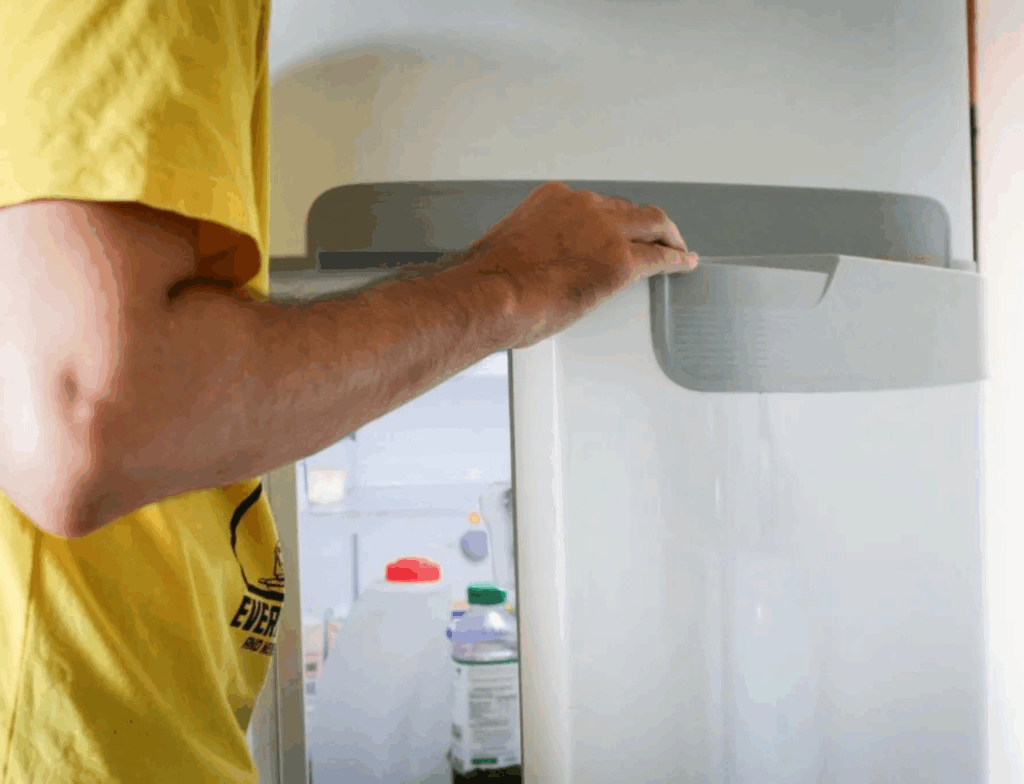 Uso correto da geladeira no verão pode reduzir consumo de energia