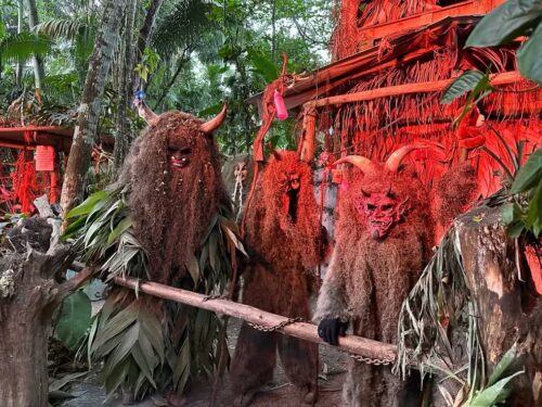 Guabiruba em SC mantém viva tradição do “Papai Noel do mato” no Natal