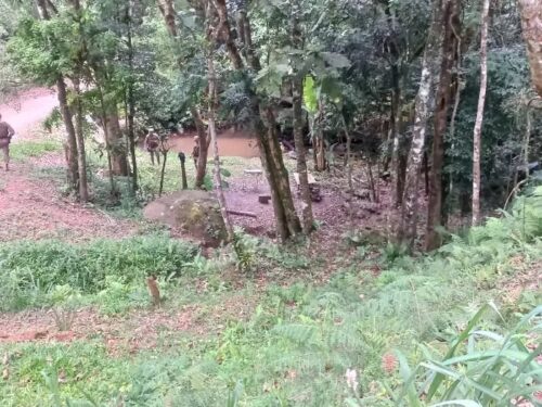 Homem é morto a golpes de facão durante feriado em Itajaí