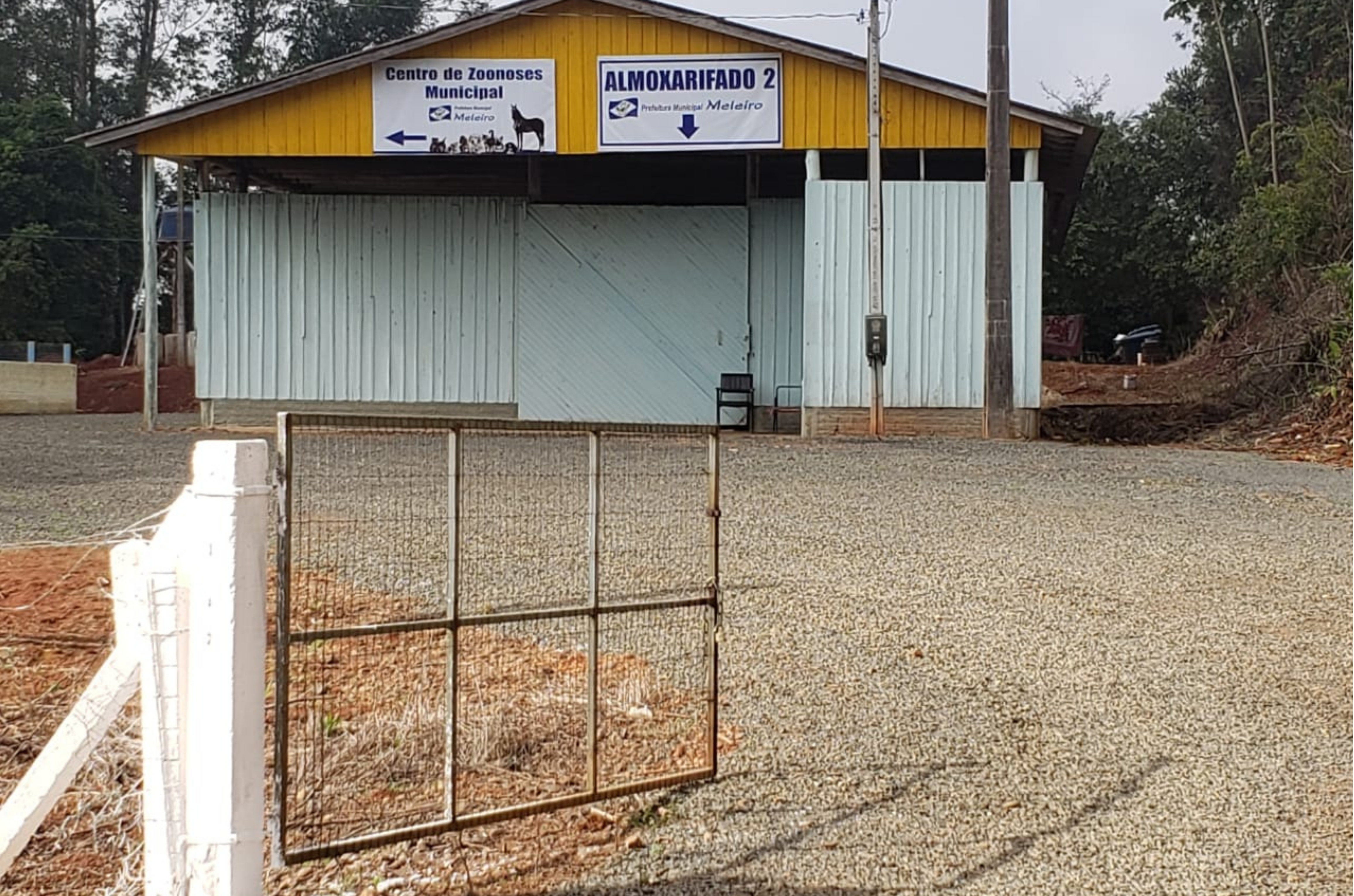 ONG denuncia mortes de cães e cobra investigação sobre maus-tratos em Meleiro