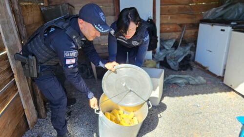 Operação Ordem na Orla apreende comércio irregular na Praia da Daniela em Florianópolis