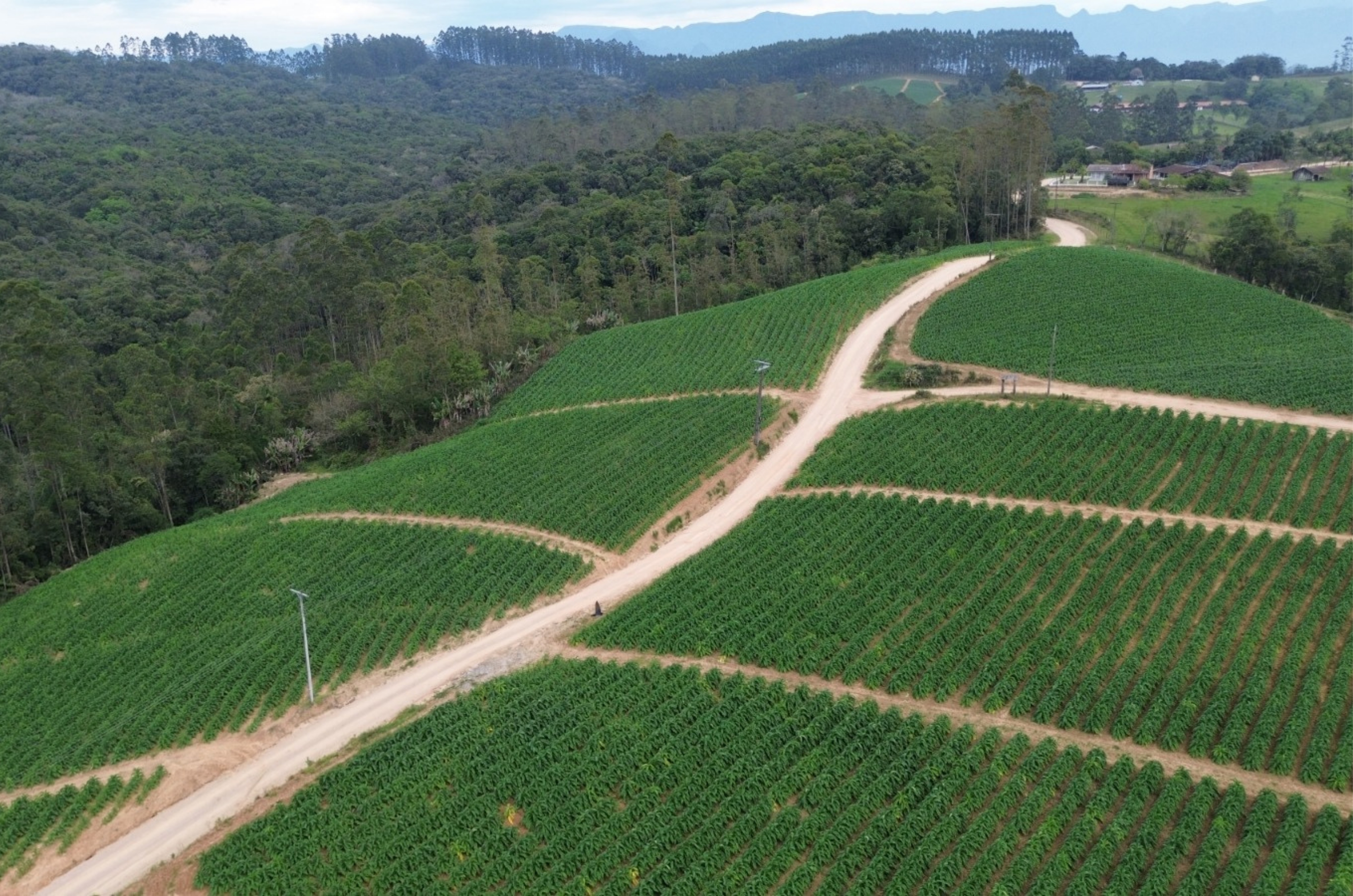 Orleans vai pagar até R$ 1,2 mil em bônus fiscal a produtores rurais