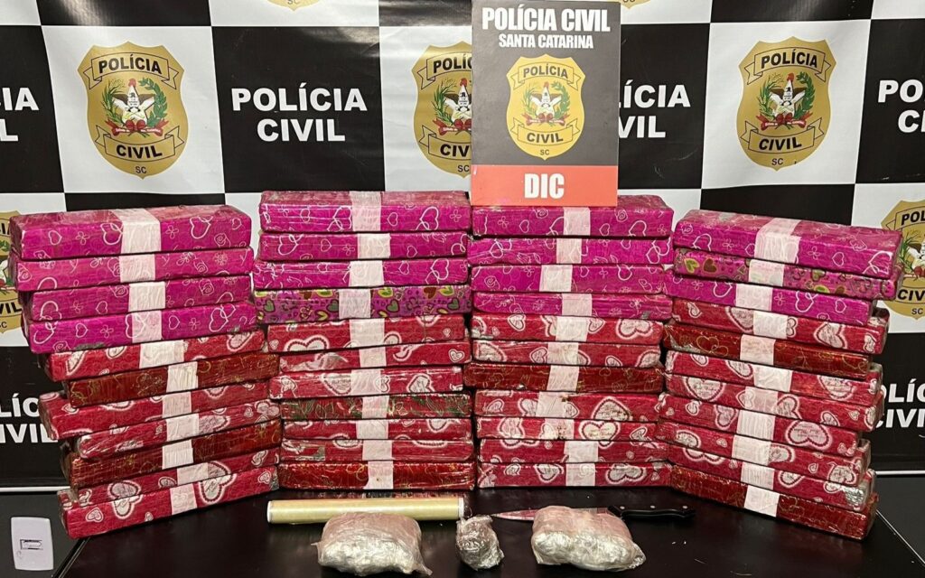 Polícia Civil apreende 37 quilos de maconha em operação em Blumenau - Foto: Divulgação/PCSC