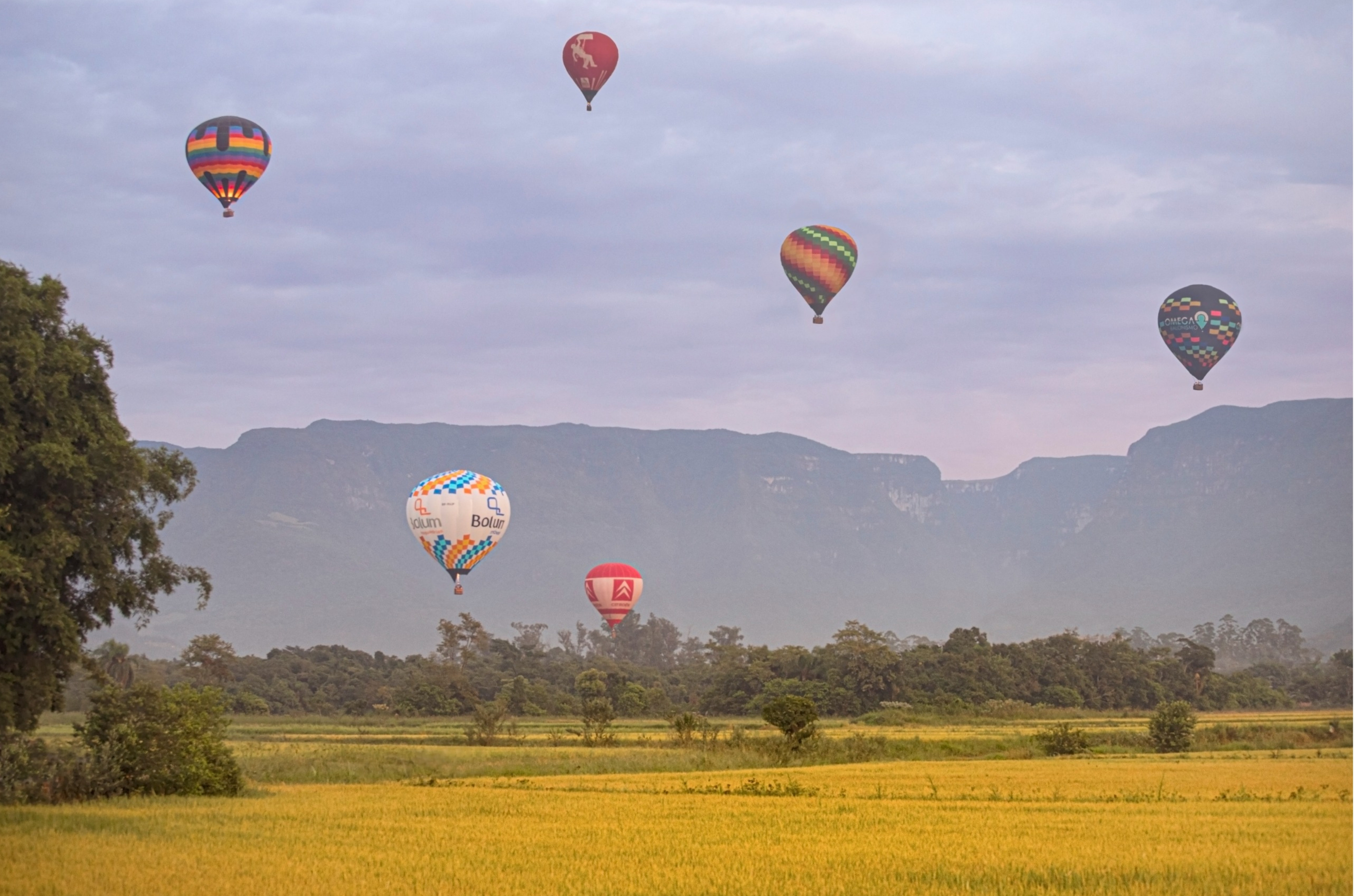Praia Grande se torna o primeiro município do país com empresas habilitadas pela Anac para voos de balão